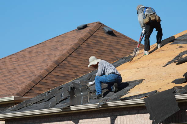 Best Roof Insulation Installation  in Kershaw, SC
